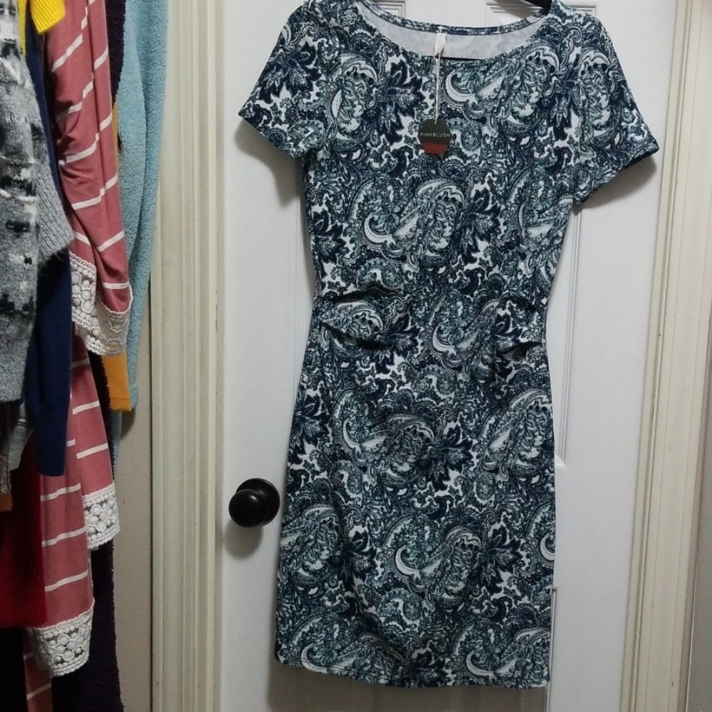 NWT Pinkblush Maternity Dress